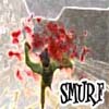 sMuRf